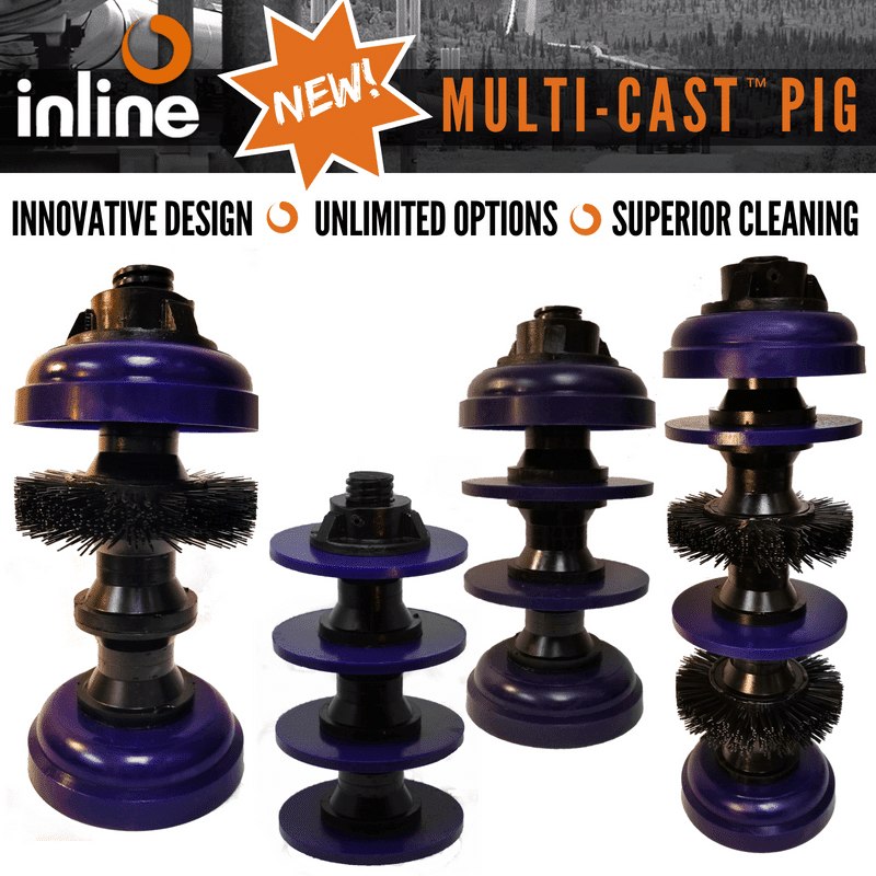 Inline Services MULTI-CAST Pig